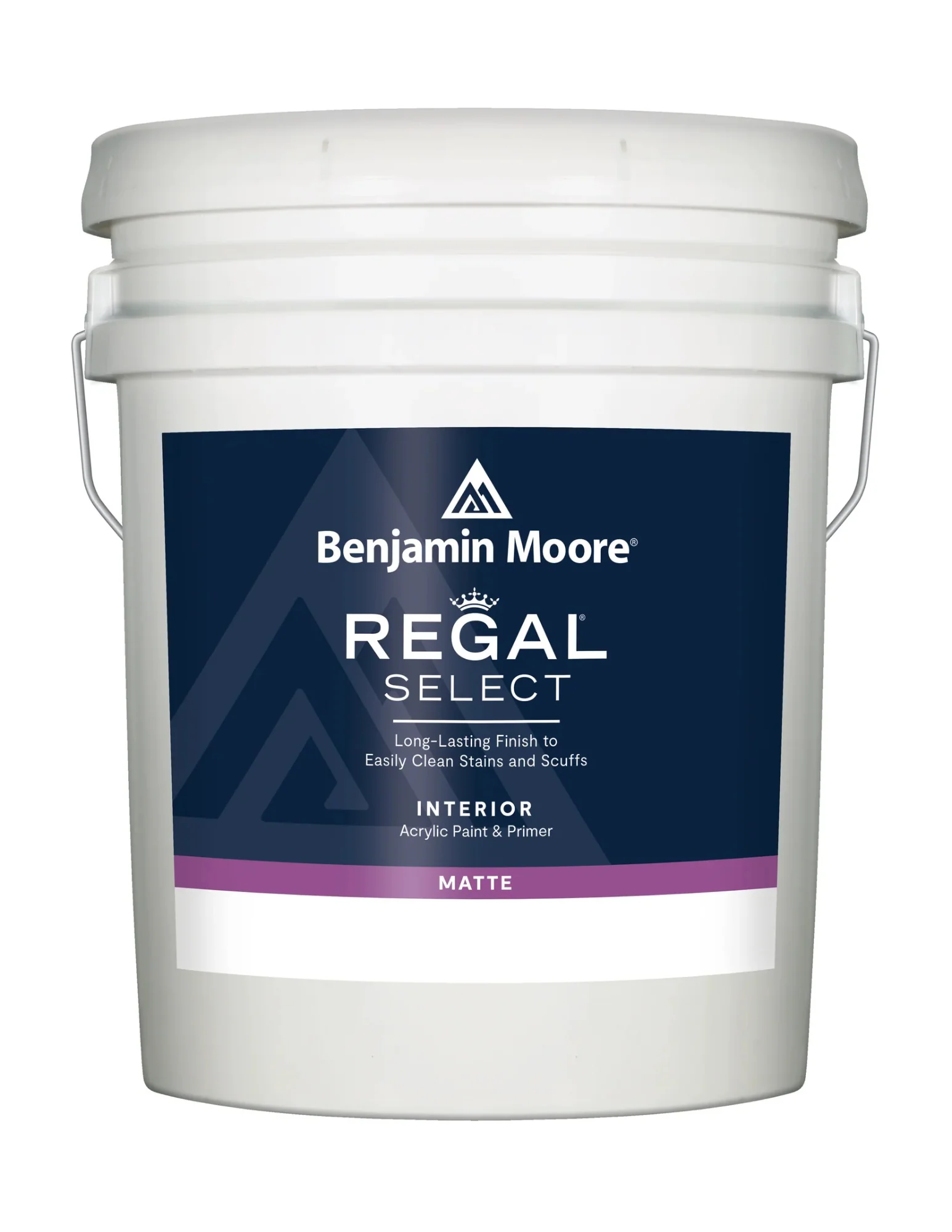 Regal® Select Waterborne Interior Paint - Matte N548 - Image 3